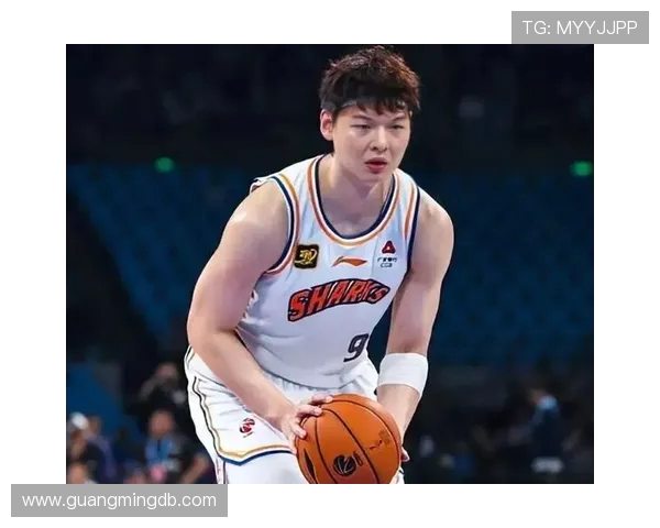 王哲林领衔福建男篮冲击CBA总冠军 新赛季展望与个人突破分析