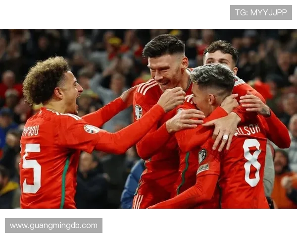 威尔士与西班牙精彩对决直播全程回顾与赛后分析